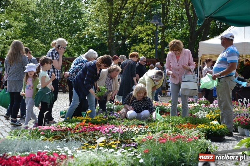 Zdjęcie w galerii na portalu naszraciborz.pl: Kwiaty, jadło, rękodzieło, folklor i statua wolności, czyli zamkowy jarmark różności  wiadomości z regionu