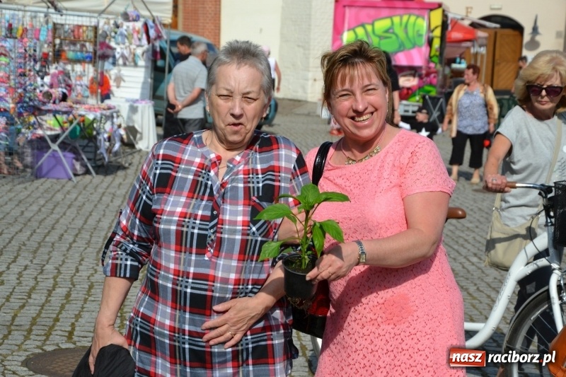 Zdjęcie w galerii na portalu naszraciborz.pl: Kwiaty, jadło, rękodzieło, folklor i statua wolności, czyli zamkowy jarmark różności  wiadomości z regionu