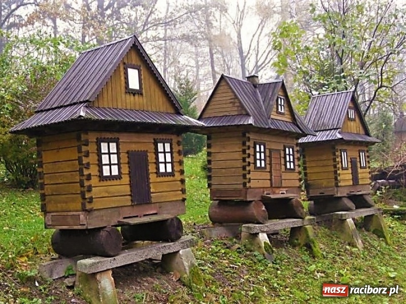 Zdjęcie w galerii na portalu naszraciborz.pl: Cztery śląskie atrakcje na wyciągnięcie ręki. Sprawdź pomysły na majówkę wiadomości z regionu