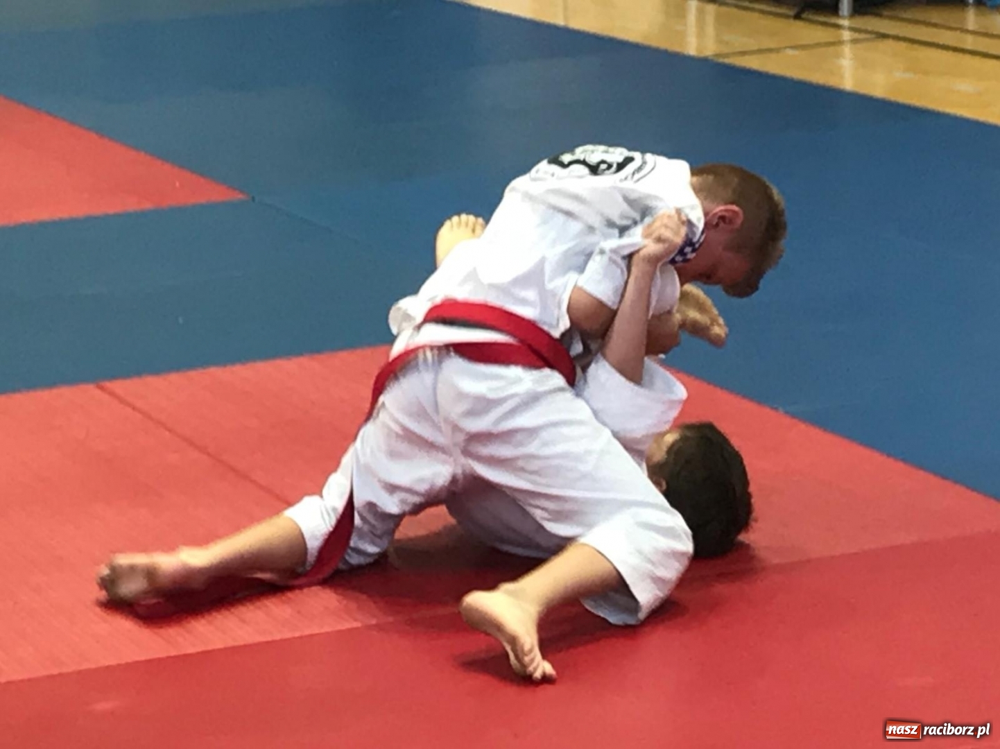 Zdjęcie w galerii na portalu naszraciborz.pl: Łamatorzy na podium w Katowicach wiadomości z regionu