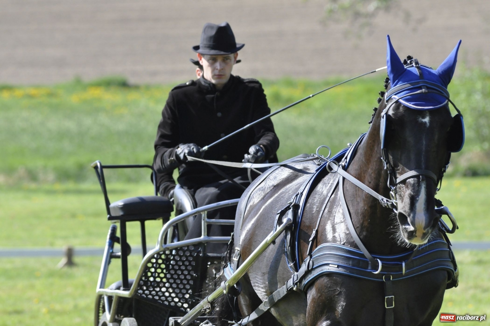 Zdjęcie w galerii na portalu naszraciborz.pl: Zawody w powożeniu na początek majówki konnej w Kornicach wiadomości z regionu