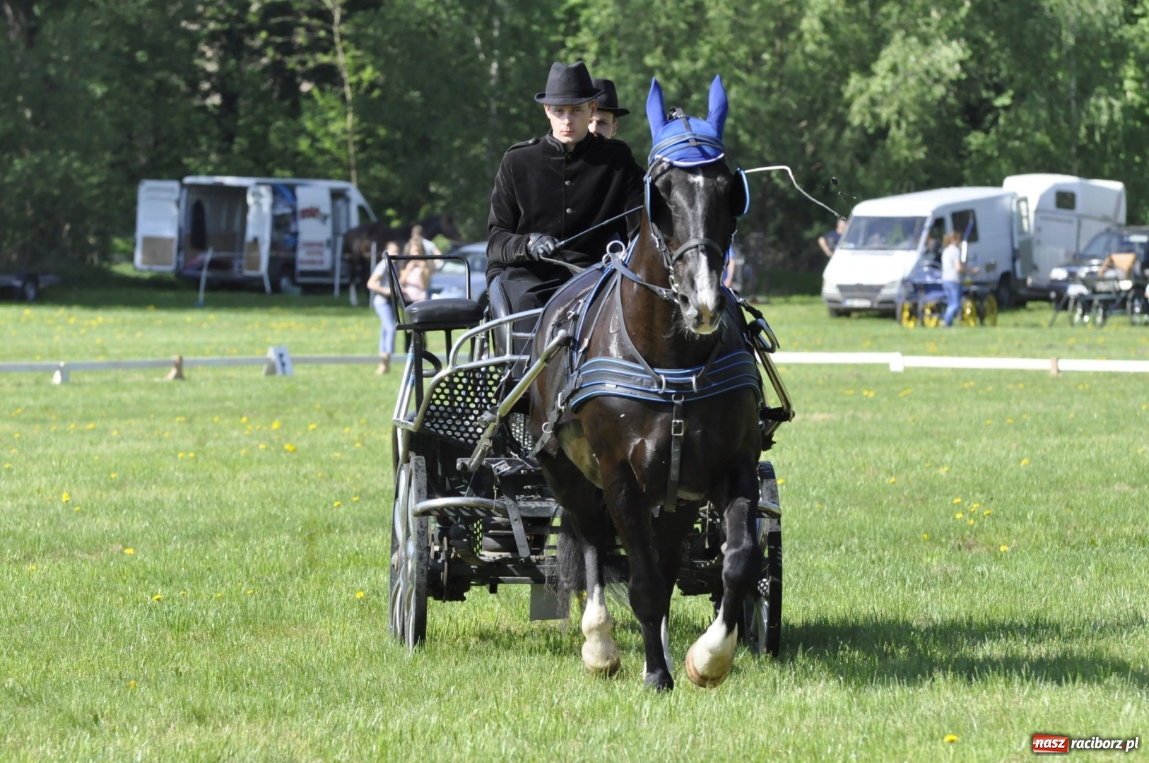 Zdjęcie w galerii na portalu naszraciborz.pl: Zawody w powożeniu na początek majówki konnej w Kornicach wiadomości z regionu
