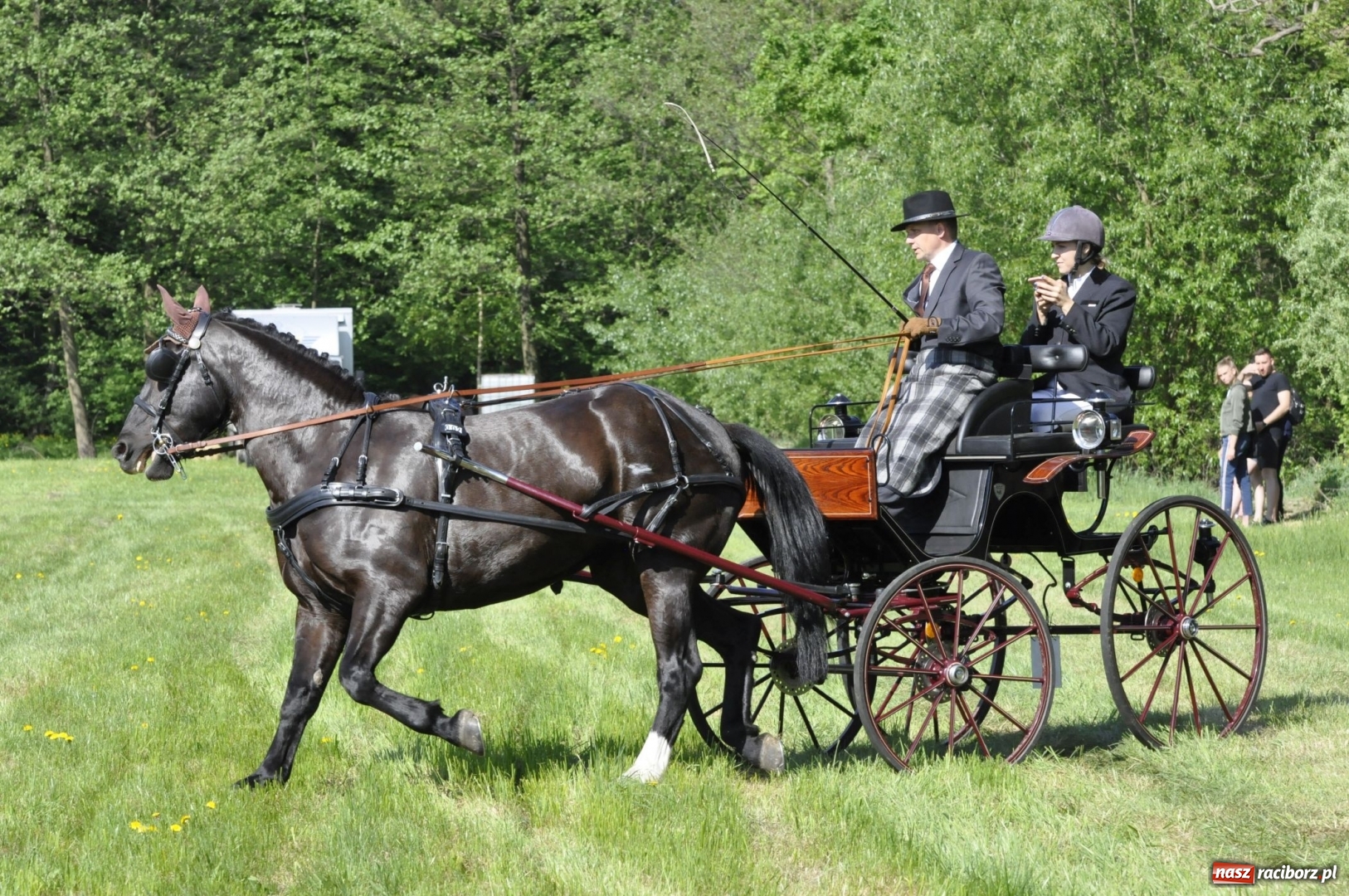 Zdjęcie w galerii na portalu naszraciborz.pl: Zawody w powożeniu na początek majówki konnej w Kornicach wiadomości z regionu