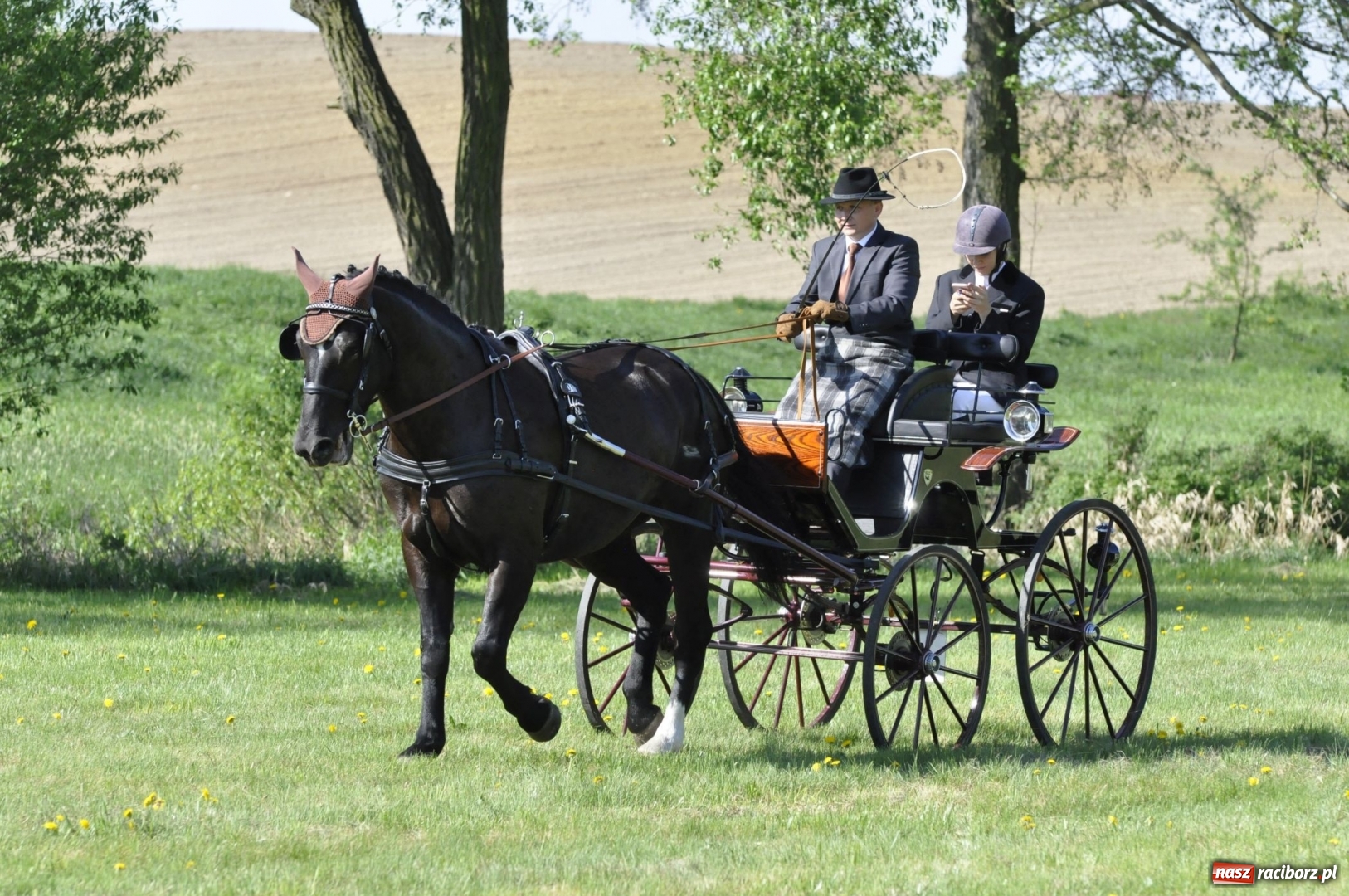 Zdjęcie w galerii na portalu naszraciborz.pl: Zawody w powożeniu na początek majówki konnej w Kornicach wiadomości z regionu