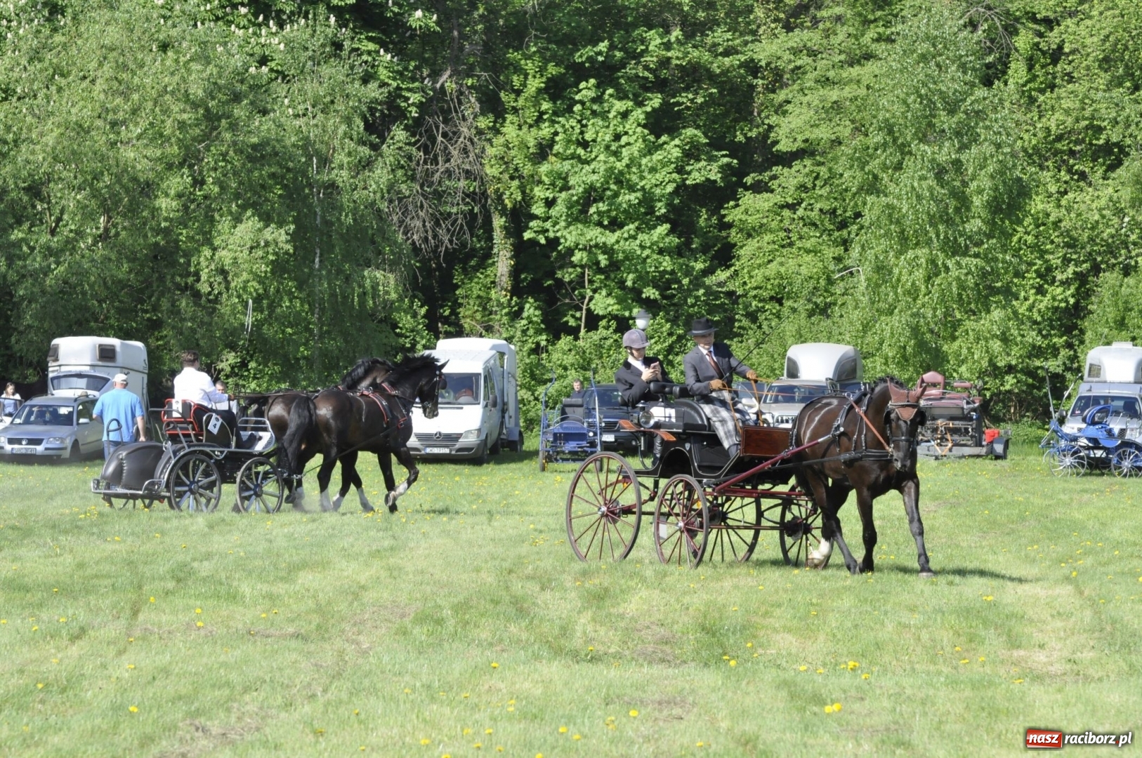 Zdjęcie w galerii na portalu naszraciborz.pl: Zawody w powożeniu na początek majówki konnej w Kornicach wiadomości z regionu
