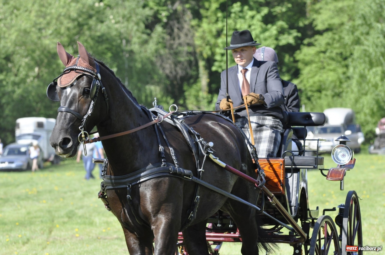 Zdjęcie w galerii na portalu naszraciborz.pl: Zawody w powożeniu na początek majówki konnej w Kornicach wiadomości z regionu