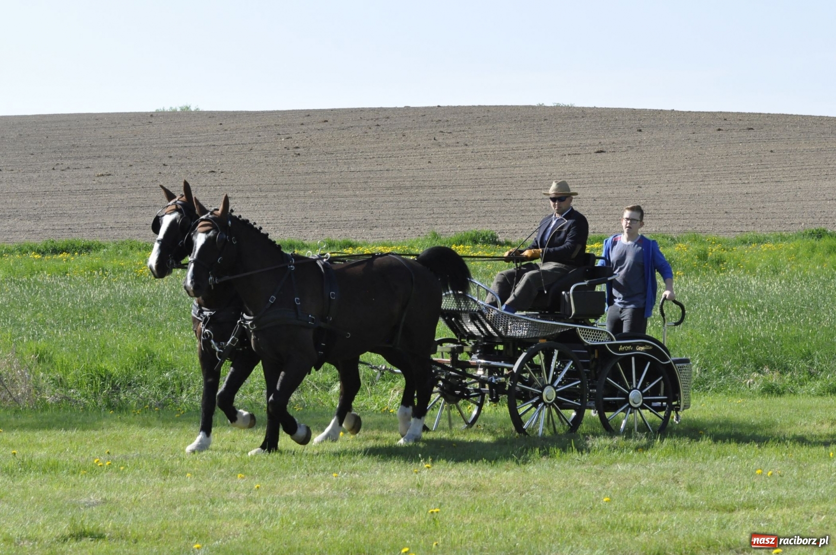 Zdjęcie w galerii na portalu naszraciborz.pl: Zawody w powożeniu na początek majówki konnej w Kornicach wiadomości z regionu