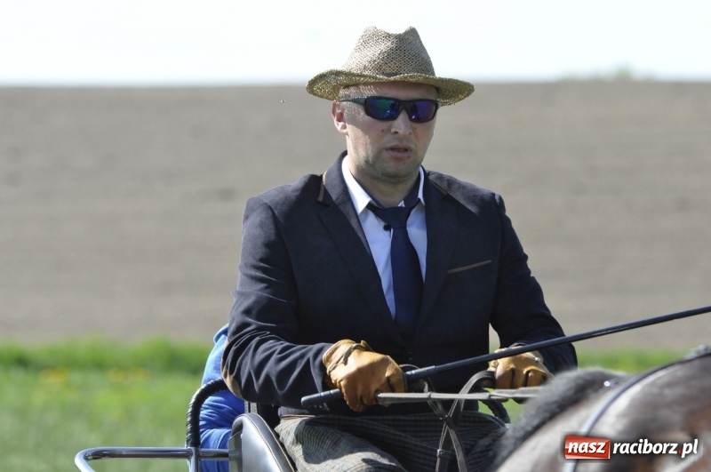 Zdjęcie w galerii na portalu naszraciborz.pl: Zawody w powożeniu na początek majówki konnej w Kornicach wiadomości z regionu