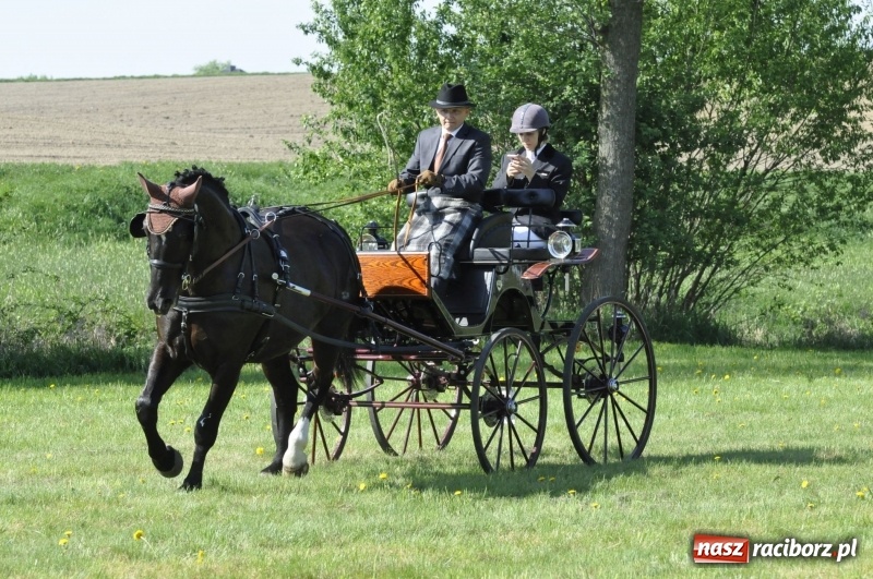 Zdjęcie w galerii na portalu naszraciborz.pl: Zawody w powożeniu na początek majówki konnej w Kornicach wiadomości z regionu