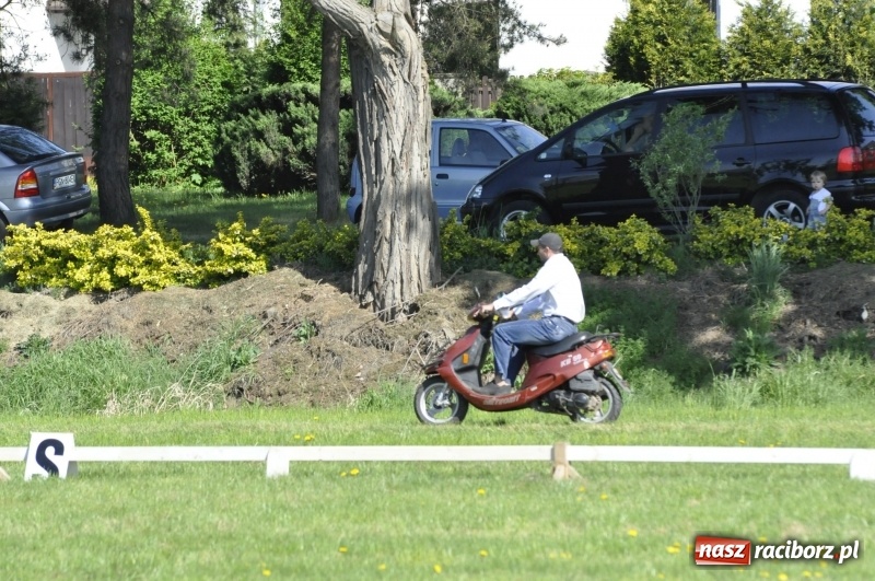 Zdjęcie w galerii na portalu naszraciborz.pl: Zawody w powożeniu na początek majówki konnej w Kornicach wiadomości z regionu
