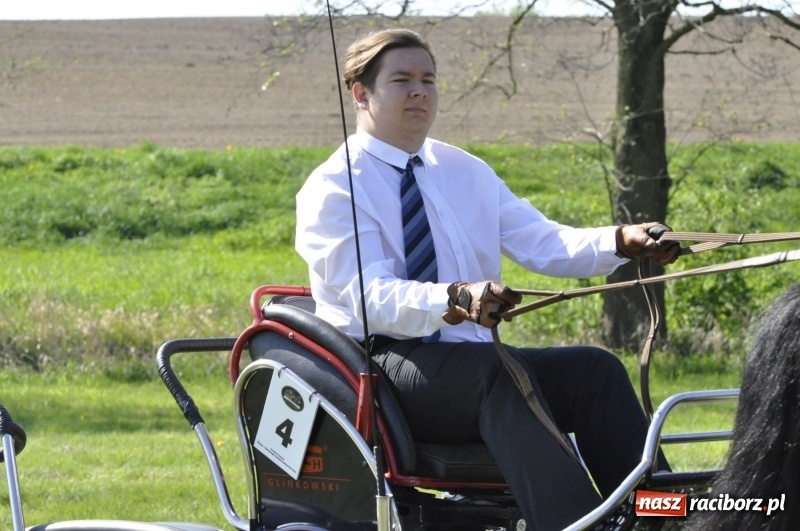 Zdjęcie w galerii na portalu naszraciborz.pl: Zawody w powożeniu na początek majówki konnej w Kornicach wiadomości z regionu