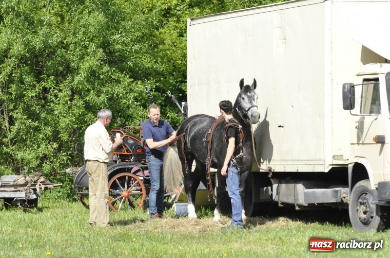Zdjęcie w galerii na portalu naszraciborz.pl: Zawody w powożeniu na początek majówki konnej w Kornicach wiadomości z regionu