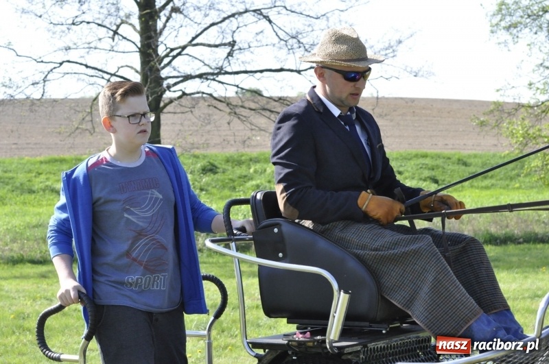 Zdjęcie w galerii na portalu naszraciborz.pl: Zawody w powożeniu na początek majówki konnej w Kornicach wiadomości z regionu