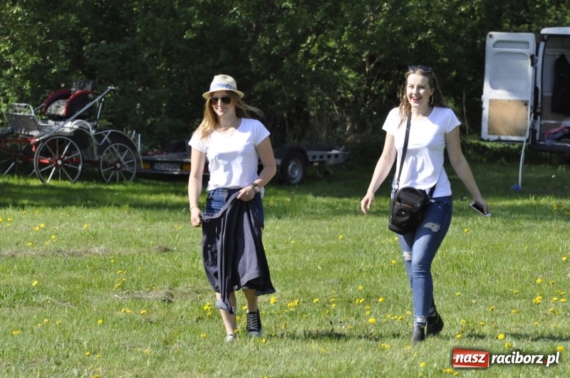 Zdjęcie w galerii na portalu naszraciborz.pl: Zawody w powożeniu na początek majówki konnej w Kornicach wiadomości z regionu