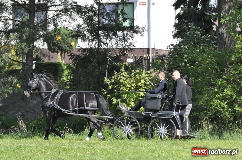 Zdjęcie w galerii na portalu naszraciborz.pl: Zawody w powożeniu na początek majówki konnej w Kornicach wiadomości z regionu