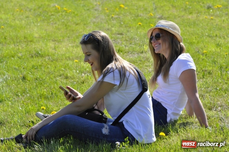 Zdjęcie w galerii na portalu naszraciborz.pl: Zawody w powożeniu na początek majówki konnej w Kornicach wiadomości z regionu