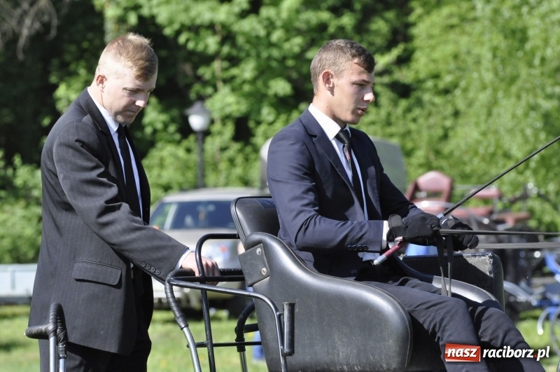 Zdjęcie w galerii na portalu naszraciborz.pl: Zawody w powożeniu na początek majówki konnej w Kornicach wiadomości z regionu