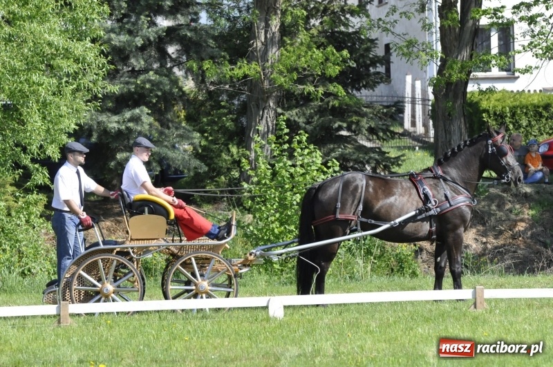 Zdjęcie w galerii na portalu naszraciborz.pl: Zawody w powożeniu na początek majówki konnej w Kornicach wiadomości z regionu