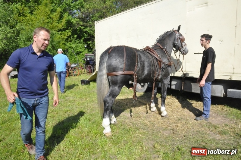 Zdjęcie w galerii na portalu naszraciborz.pl: Zawody w powożeniu na początek majówki konnej w Kornicach wiadomości z regionu