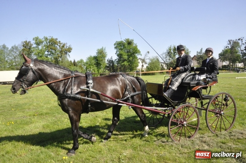 Zdjęcie w galerii na portalu naszraciborz.pl: Zawody w powożeniu na początek majówki konnej w Kornicach wiadomości z regionu