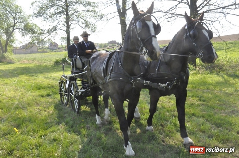 Zdjęcie w galerii na portalu naszraciborz.pl: Zawody w powożeniu na początek majówki konnej w Kornicach wiadomości z regionu