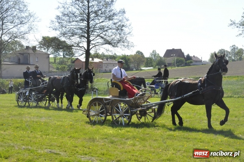 Zdjęcie w galerii na portalu naszraciborz.pl: Zawody w powożeniu na początek majówki konnej w Kornicach wiadomości z regionu