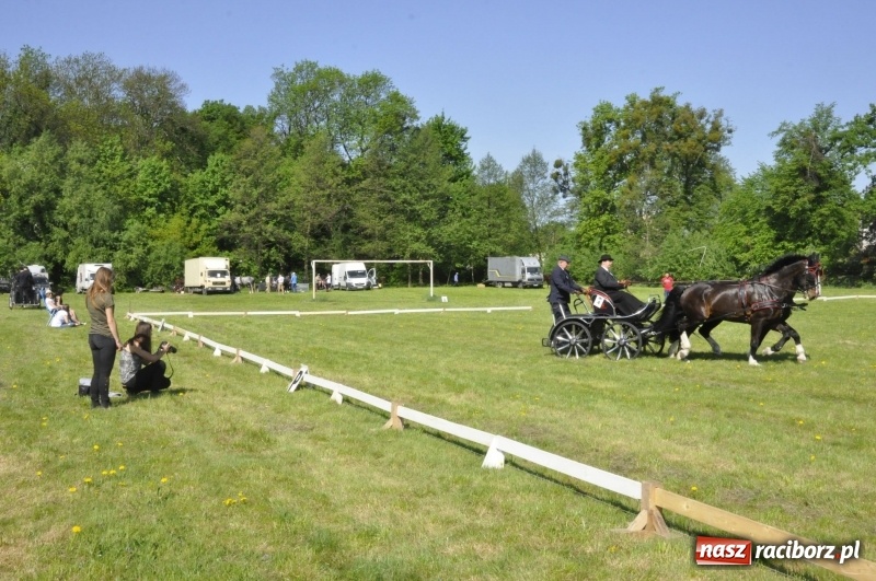 Zdjęcie w galerii na portalu naszraciborz.pl: Zawody w powożeniu na początek majówki konnej w Kornicach wiadomości z regionu