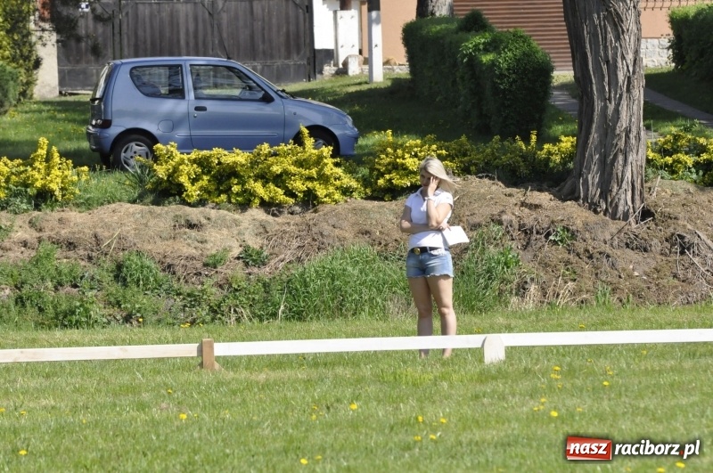 Zdjęcie w galerii na portalu naszraciborz.pl: Zawody w powożeniu na początek majówki konnej w Kornicach wiadomości z regionu