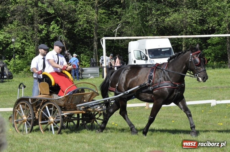 Zdjęcie w galerii na portalu naszraciborz.pl: Zawody w powożeniu na początek majówki konnej w Kornicach wiadomości z regionu
