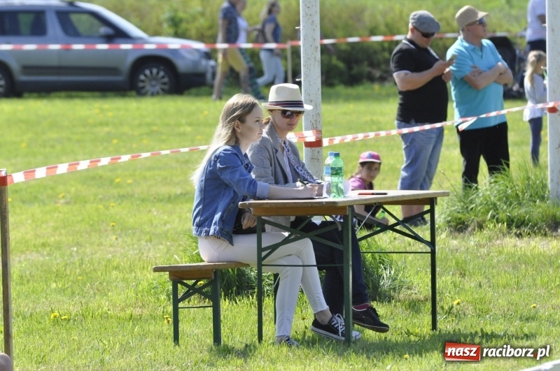 Zdjęcie w galerii na portalu naszraciborz.pl: Zawody w powożeniu na początek majówki konnej w Kornicach wiadomości z regionu