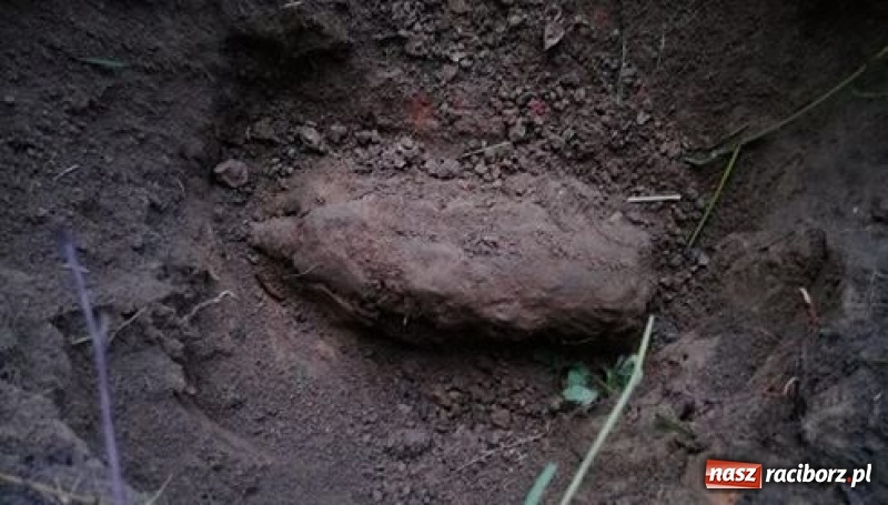 Zdjęcie w galerii na portalu naszraciborz.pl: Na posesji w Raciborzu Miedoni odkryto niewypał wiadomości z regionu