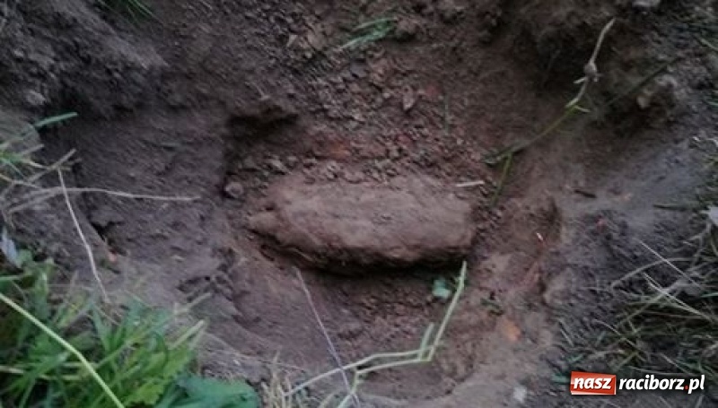 Zdjęcie w galerii na portalu naszraciborz.pl: Na posesji w Raciborzu Miedoni odkryto niewypał wiadomości z regionu