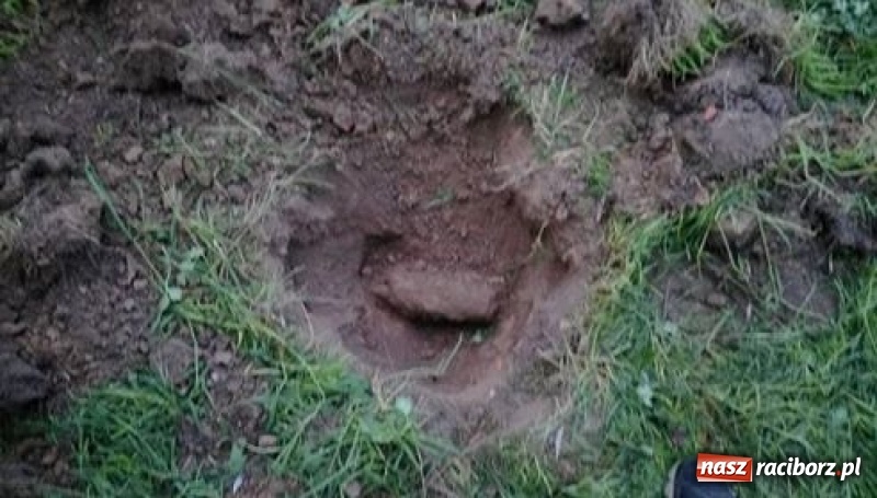 Zdjęcie w galerii na portalu naszraciborz.pl: Na posesji w Raciborzu Miedoni odkryto niewypał wiadomości z regionu