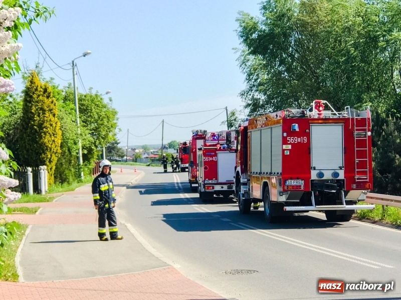 Zdjęcie w galerii na portalu naszraciborz.pl: Na posesji w Raciborzu Miedoni odkryto niewypał wiadomości z regionu