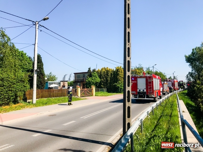 Zdjęcie w galerii na portalu naszraciborz.pl: Na posesji w Raciborzu Miedoni odkryto niewypał wiadomości z regionu