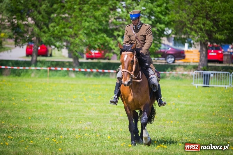 Zdjęcie w galerii na portalu naszraciborz.pl: Konie w ogniu i żywe przeszkody - pokaz 4. Pułku Ułanów Zaniemeńskich w Kornicach  wiadomości z regionu