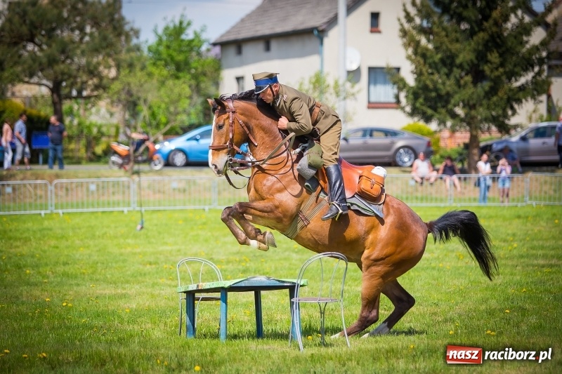 Zdjęcie w galerii na portalu naszraciborz.pl: Konie w ogniu i żywe przeszkody - pokaz 4. Pułku Ułanów Zaniemeńskich w Kornicach  wiadomości z regionu