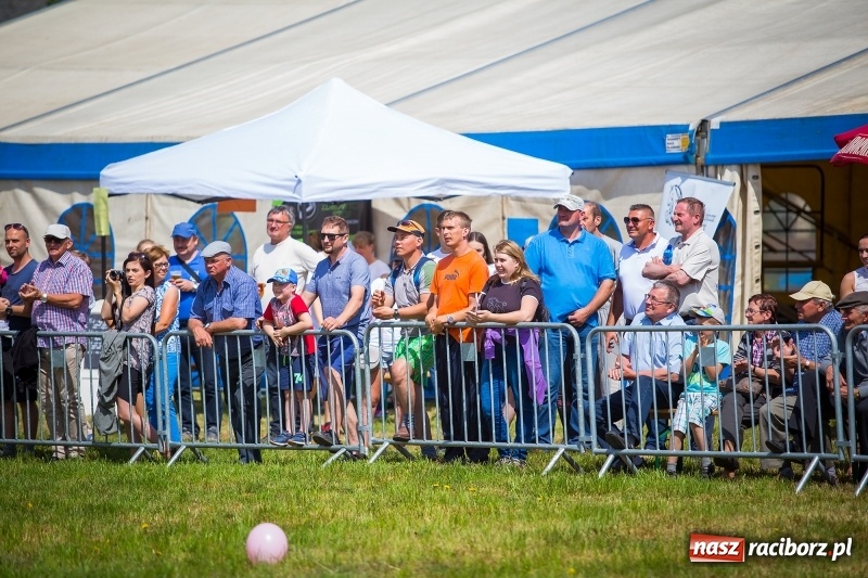 Zdjęcie w galerii na portalu naszraciborz.pl: Konie w ogniu i żywe przeszkody - pokaz 4. Pułku Ułanów Zaniemeńskich w Kornicach  wiadomości z regionu