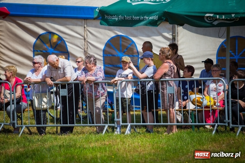 Zdjęcie w galerii na portalu naszraciborz.pl: Konie w ogniu i żywe przeszkody - pokaz 4. Pułku Ułanów Zaniemeńskich w Kornicach  wiadomości z regionu