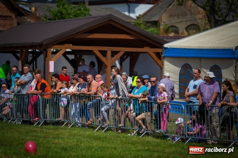 Zdjęcie w galerii na portalu naszraciborz.pl: Konie w ogniu i żywe przeszkody - pokaz 4. Pułku Ułanów Zaniemeńskich w Kornicach  wiadomości z regionu