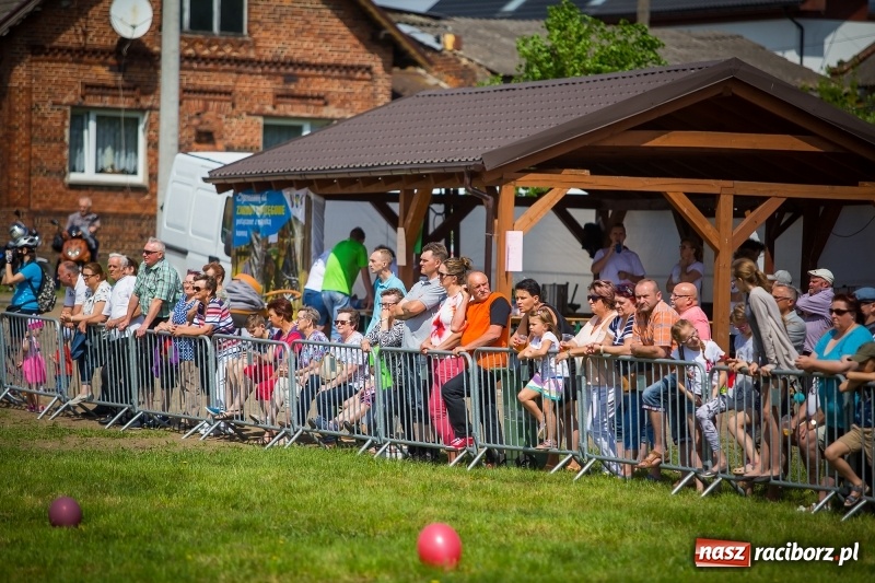 Zdjęcie w galerii na portalu naszraciborz.pl: Konie w ogniu i żywe przeszkody - pokaz 4. Pułku Ułanów Zaniemeńskich w Kornicach  wiadomości z regionu