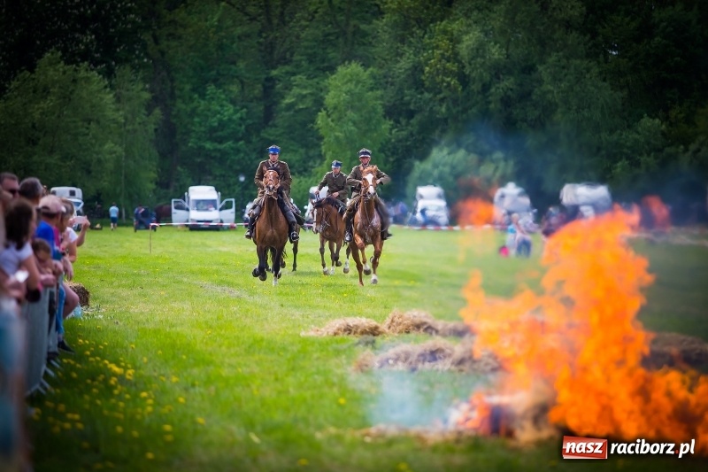 Zdjęcie w galerii na portalu naszraciborz.pl: Konie w ogniu i żywe przeszkody - pokaz 4. Pułku Ułanów Zaniemeńskich w Kornicach  wiadomości z regionu