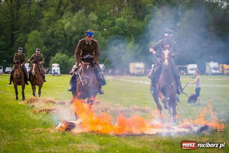 Zdjęcie w galerii na portalu naszraciborz.pl: Konie w ogniu i żywe przeszkody - pokaz 4. Pułku Ułanów Zaniemeńskich w Kornicach  wiadomości z regionu
