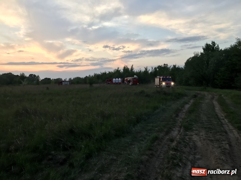 Zdjęcie w galerii na portalu naszraciborz.pl: Samochód stoczył się do stawu. Trudna akcja w Ligocie Tworkowskiej. Nie żyje wędkarz wiadomości z regionu