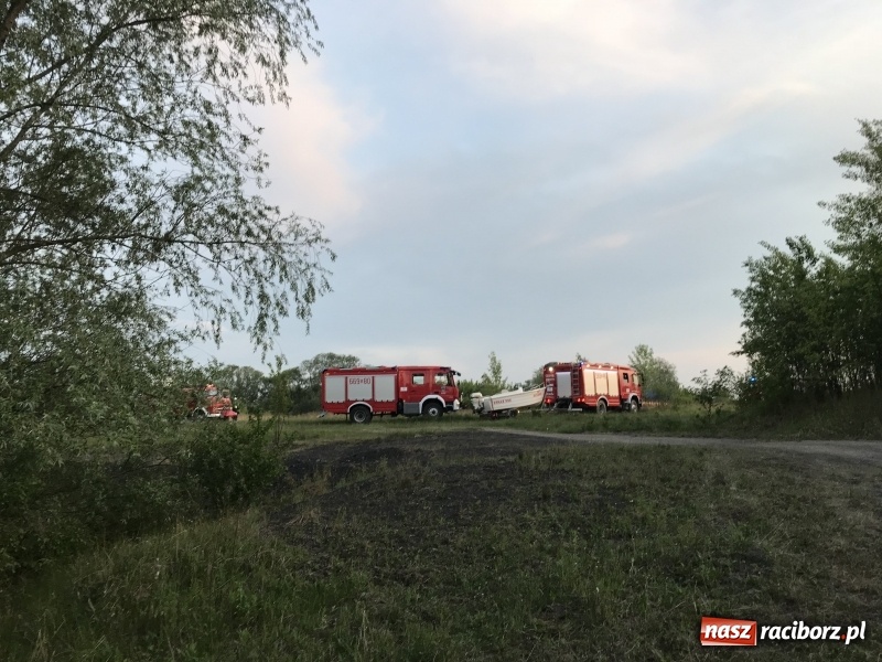 Zdjęcie w galerii na portalu naszraciborz.pl: Samochód stoczył się do stawu. Trudna akcja w Ligocie Tworkowskiej. Nie żyje wędkarz wiadomości z regionu
