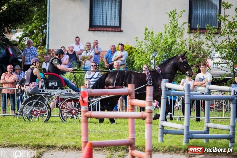 Zdjęcie w galerii na portalu naszraciborz.pl: Pierwszy dzień majówki w Kornicach za nami wiadomości z regionu