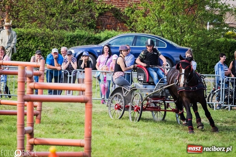 Zdjęcie w galerii na portalu naszraciborz.pl: Pierwszy dzień majówki w Kornicach za nami wiadomości z regionu