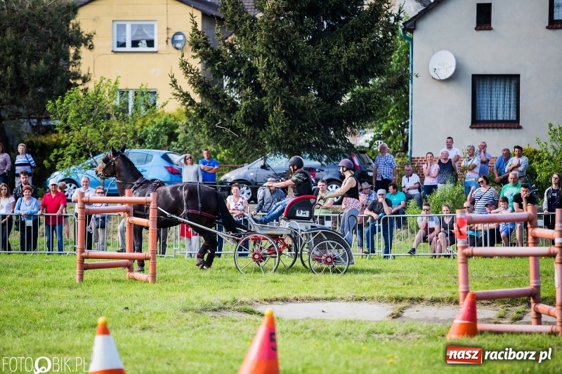 Zdjęcie w galerii na portalu naszraciborz.pl: Pierwszy dzień majówki w Kornicach za nami wiadomości z regionu