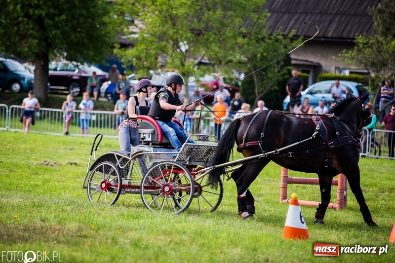Zdjęcie w galerii na portalu naszraciborz.pl: Pierwszy dzień majówki w Kornicach za nami wiadomości z regionu
