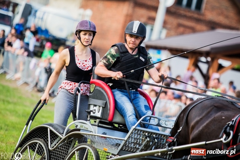 Zdjęcie w galerii na portalu naszraciborz.pl: Pierwszy dzień majówki w Kornicach za nami wiadomości z regionu